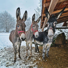 Festliches Weihnachtsmenü 2025 | Theurerhof